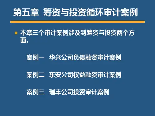 筹资与投资循环审计案例