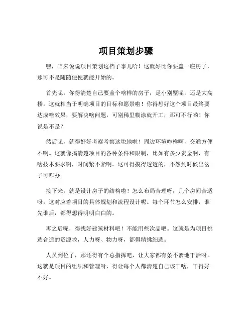 项目策划步骤