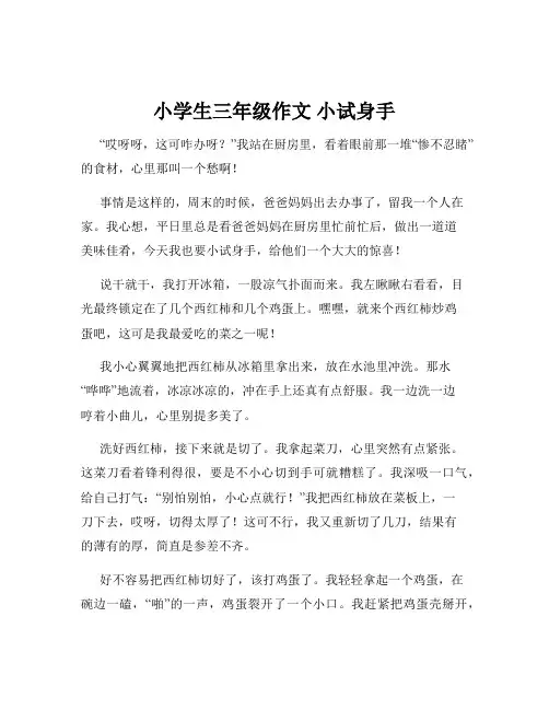 小学生三年级作文 小试身手