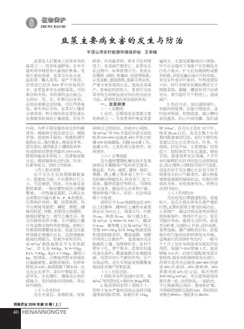韭菜主要病虫害的发生与防治