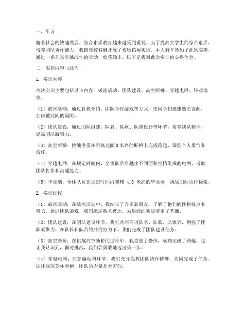 素拓实训报告心得体会