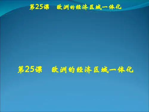 经济区域一体化财务知识分析规划