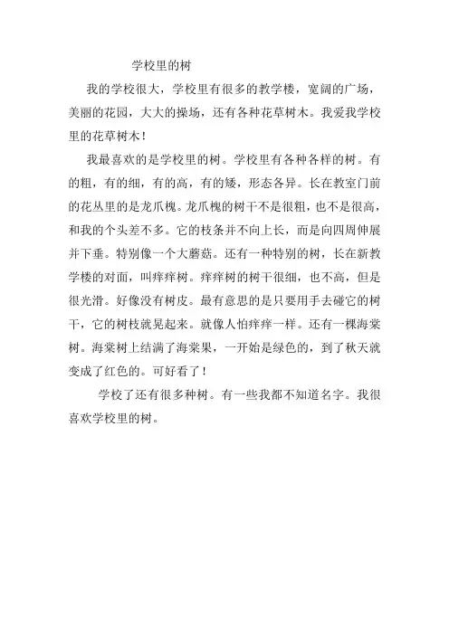 《学校里的树》