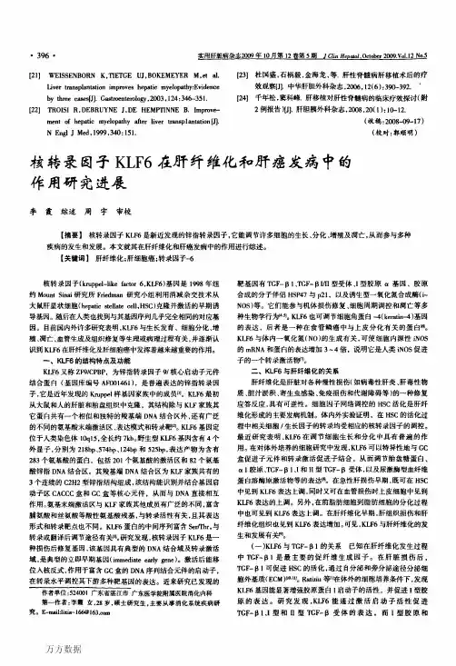 核转录因子KLF6在肝纤维化和肝癌发病中的作用研究进展