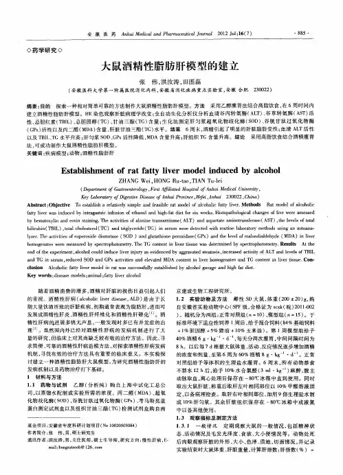 大鼠酒精性脂肪肝模型的建立