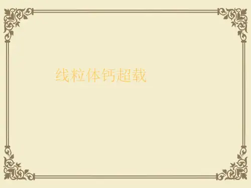 线粒体钙超载