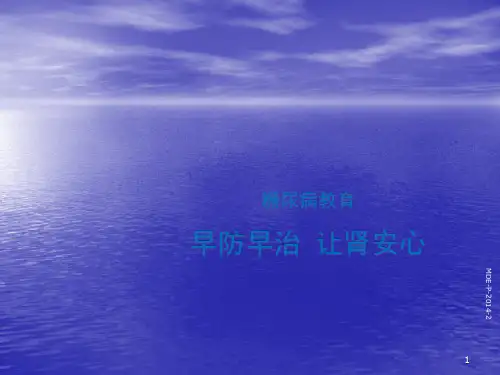 糖尿病肾病篇ppt课件