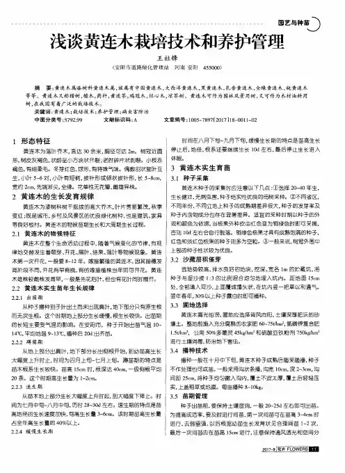 浅谈黄连木栽培技术和养护管理