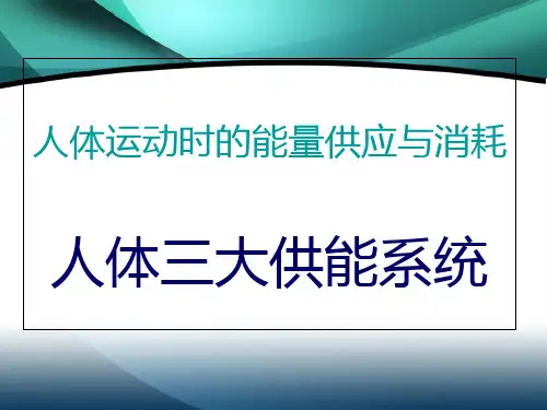 人体运动时的能量供应与消耗ppt课件