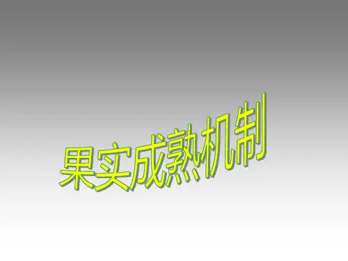 第四讲 果实成熟ppt课件