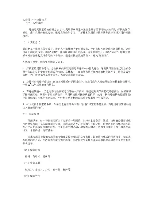 实验四 林木嫁接技术