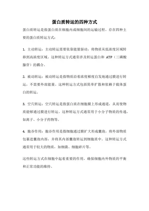 蛋白质转运的四种方式
