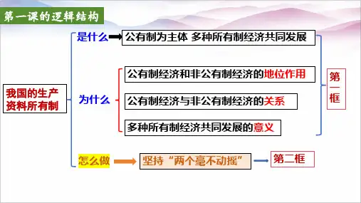 1.2坚持“两个毫不动摇”课件- 高中政治统编版必修二经济与社会
