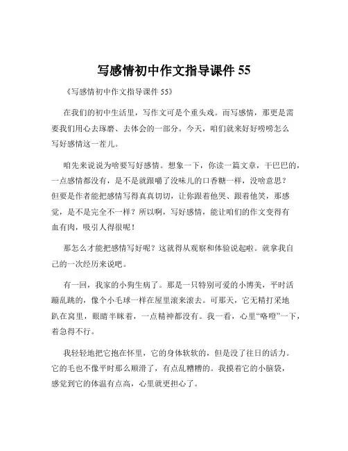 写感情初中作文指导课件55
