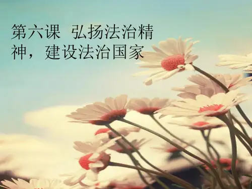 第六课弘扬法治精神,建设法治国家