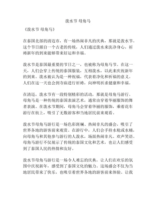 泼水节 母角马