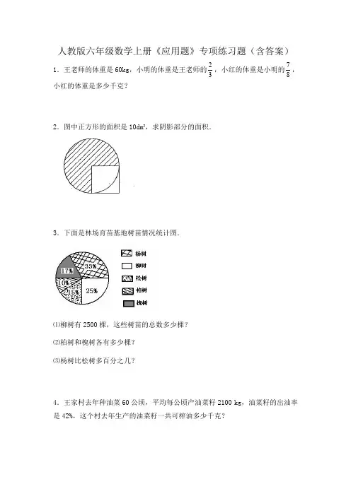 人教版六年级数学上册《应用题》专项练习题(含答案)