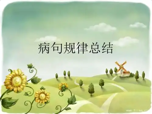 高考复习病句规律总结ppt