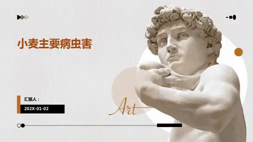 小麦主要病虫害
