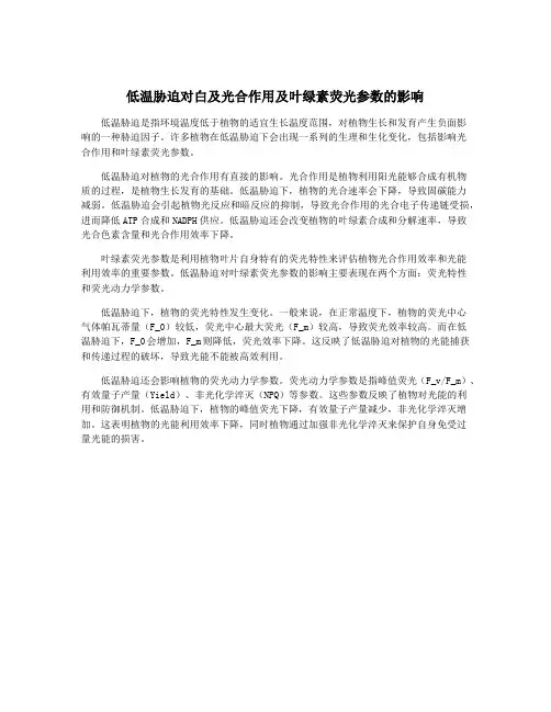 低温胁迫对白及光合作用及叶绿素荧光参数的影响