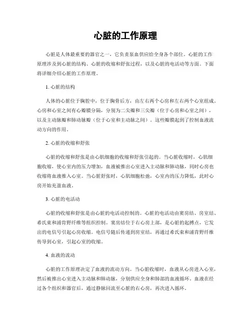 心脏的工作原理