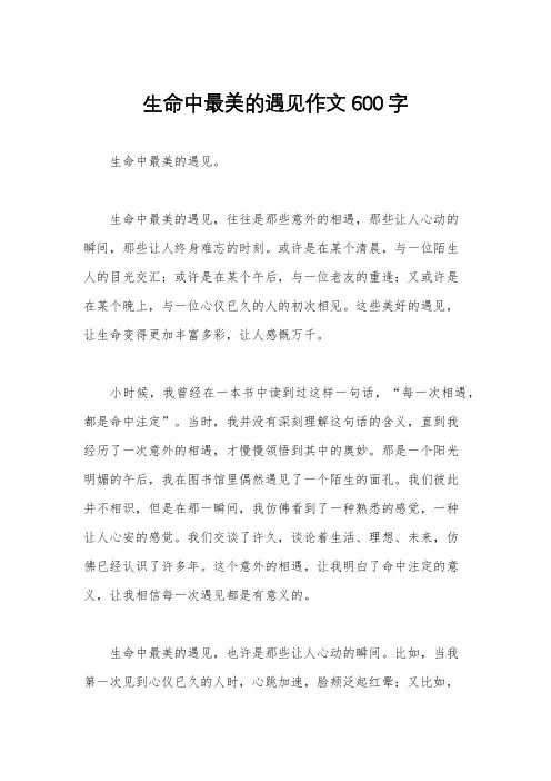 生命中最美的遇见作文600字