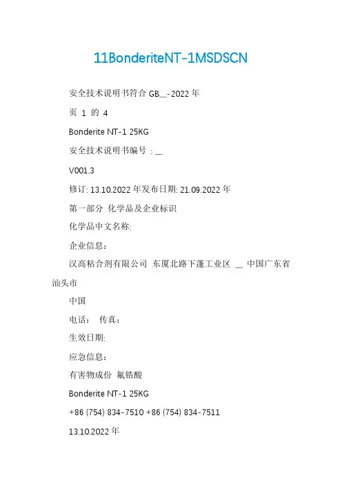 11BonderiteNT-1MSDSCN