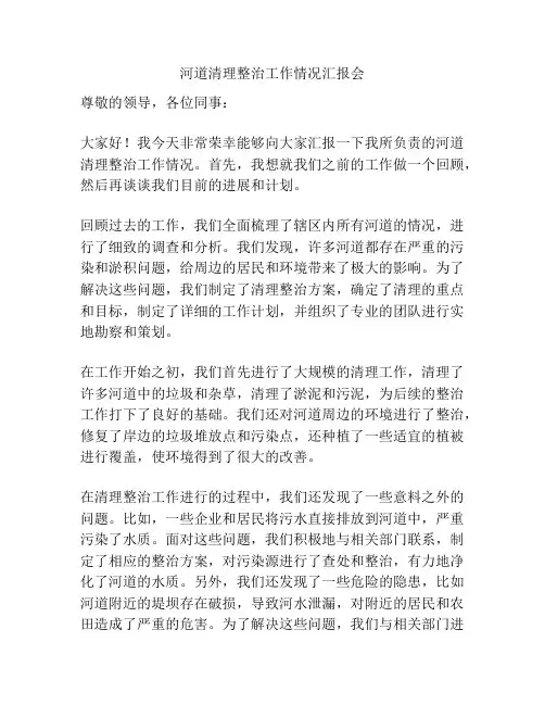 河道清理整治工作情况汇报会