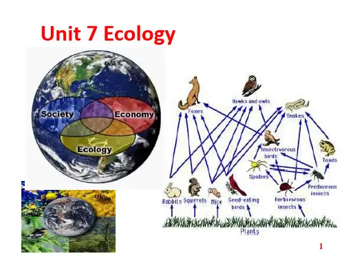 英语泛读教程 4 Unit 7 Ecology(完整版)