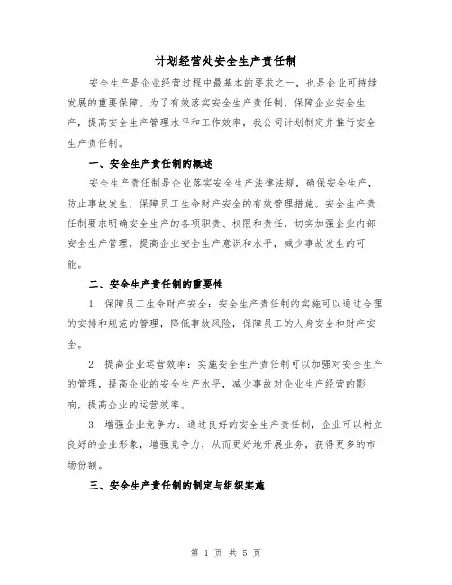 计划经营处安全生产责任制(三篇)
