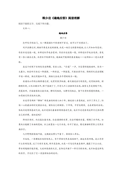 韩少功《遍地应答》阅读理解
