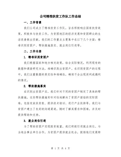 公司精准扶贫工作队工作总结