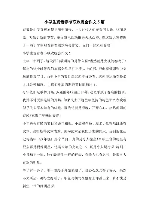 小学生观看春节联欢晚会作文5篇