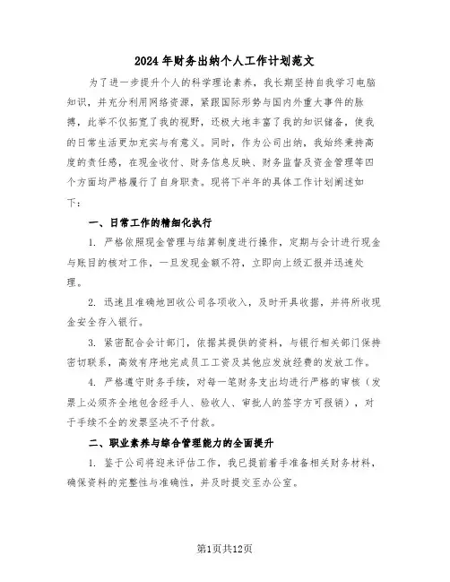 2024年财务出纳个人工作计划范文（7篇）