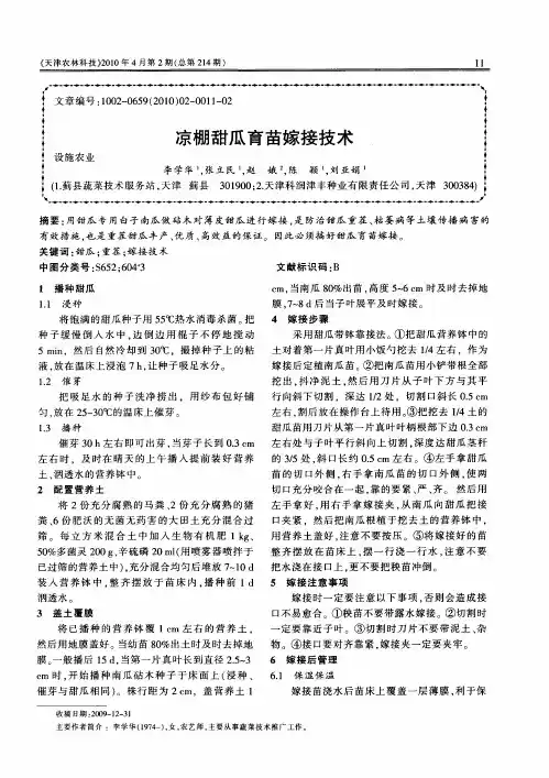 凉棚甜瓜育苗嫁接技术