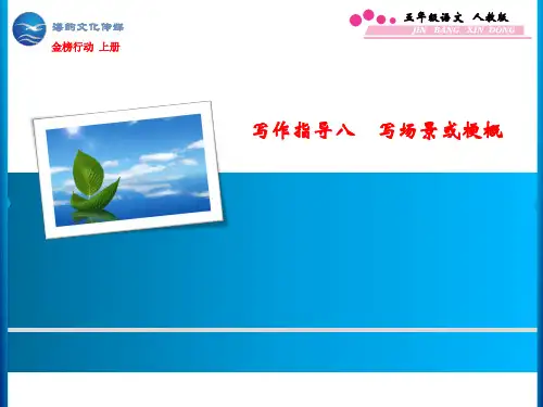 第8单元  习作指导八 写场景或梗概