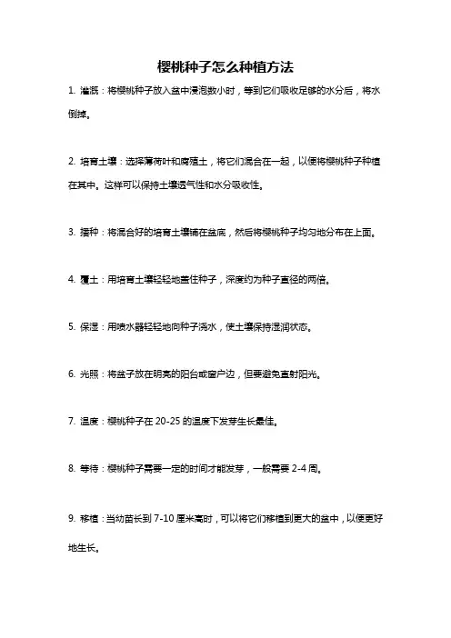 樱桃种子怎么种植方法