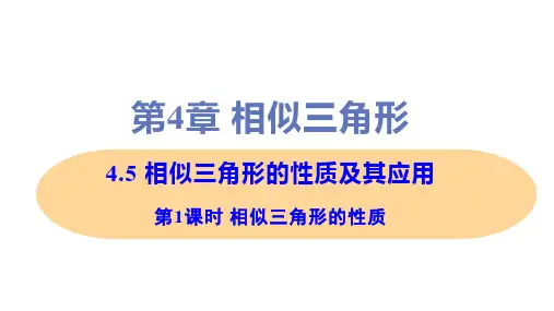 新浙教版九年级上册初中数学 第1课时 相似三角形的性质 教学课件