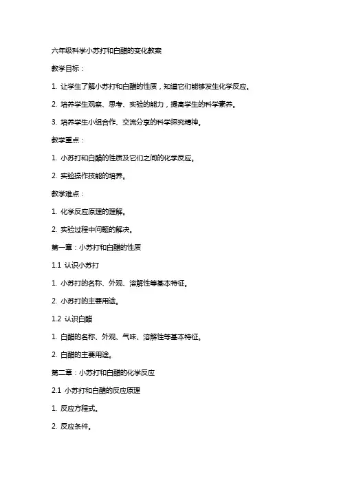 六年级科学小苏打和白醋的变化教案