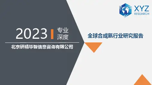 全球合成氨行业研究报告