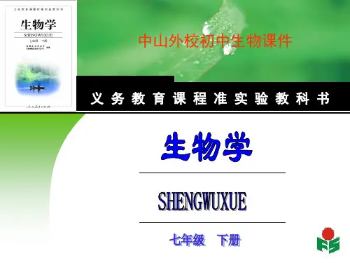 第二节  血流的管道 血管