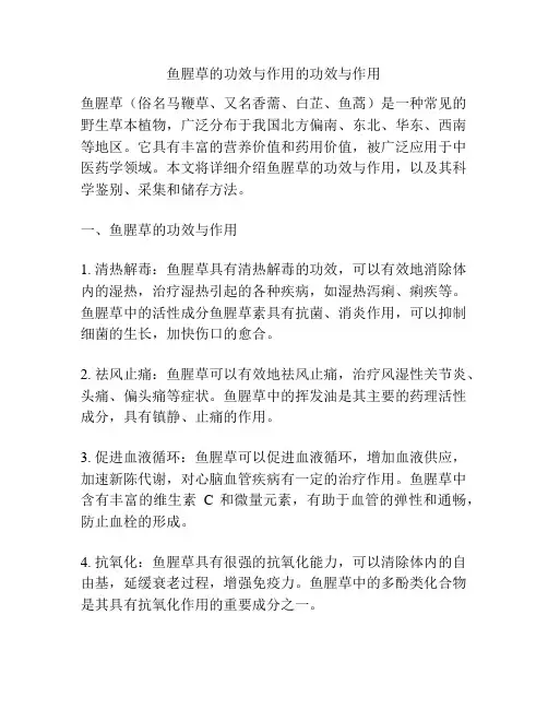 鱼腥草的功效与作用的功效与作用