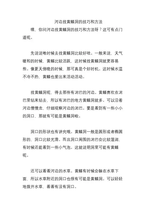 河边找黄鳝洞的技巧和方法