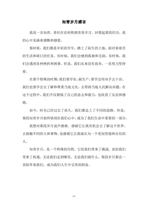 知青岁月感言