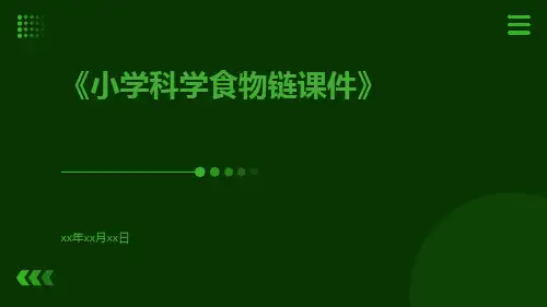 小学科学食物链课件