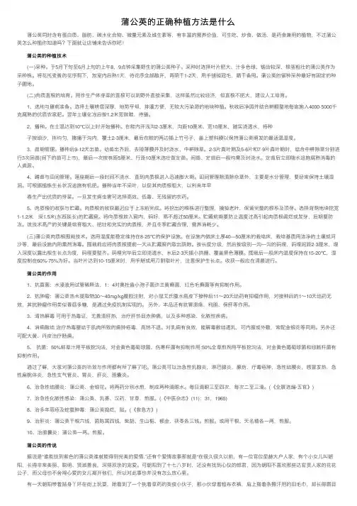 蒲公英的正确种植方法是什么