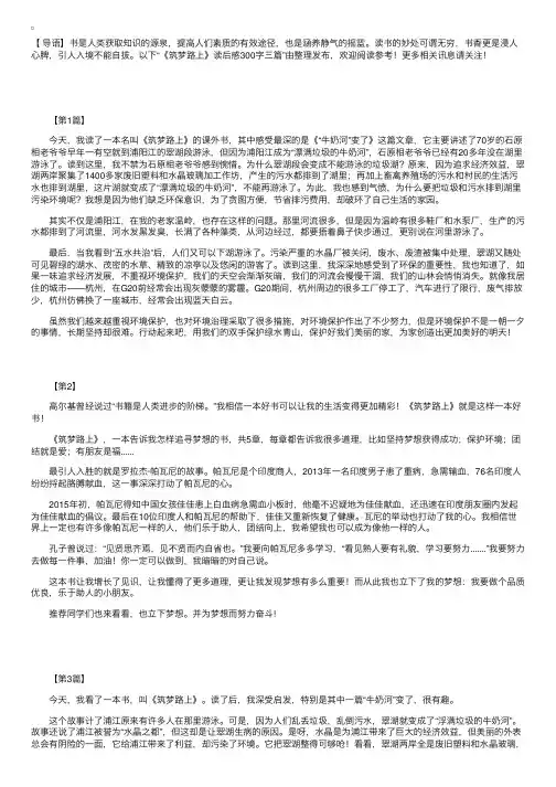 《筑梦路上》读后感300字三篇