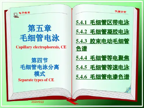 5.3 高效毛细管电泳分离模式
