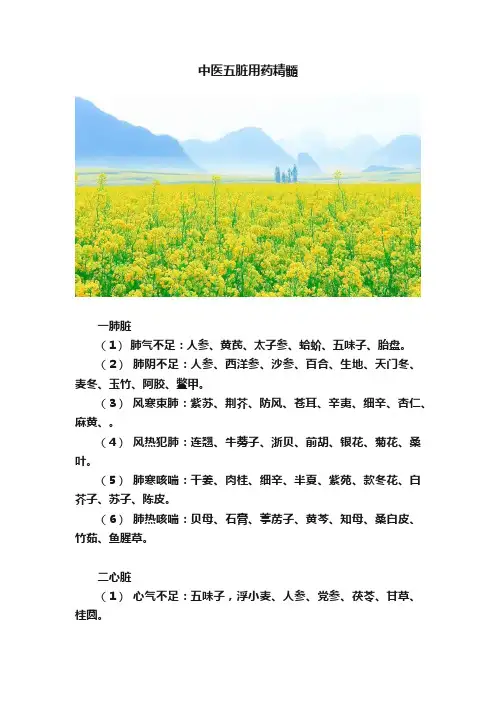 中医五脏用药精髓