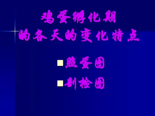 鸡孵化的各天的变化特点